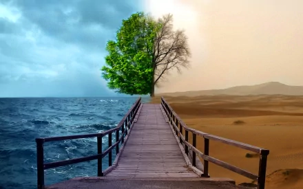 A stunning HD wallpaper depicting a split scene of nature, featuring a vibrant green tree beside a barren desert, connected by a wooden bridge under contrasting skies.