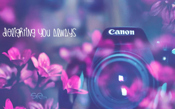 man made canon HD Desktop Wallpaper | Background Image
