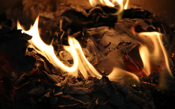 photography fire HD Desktop Wallpaper | Background Image
