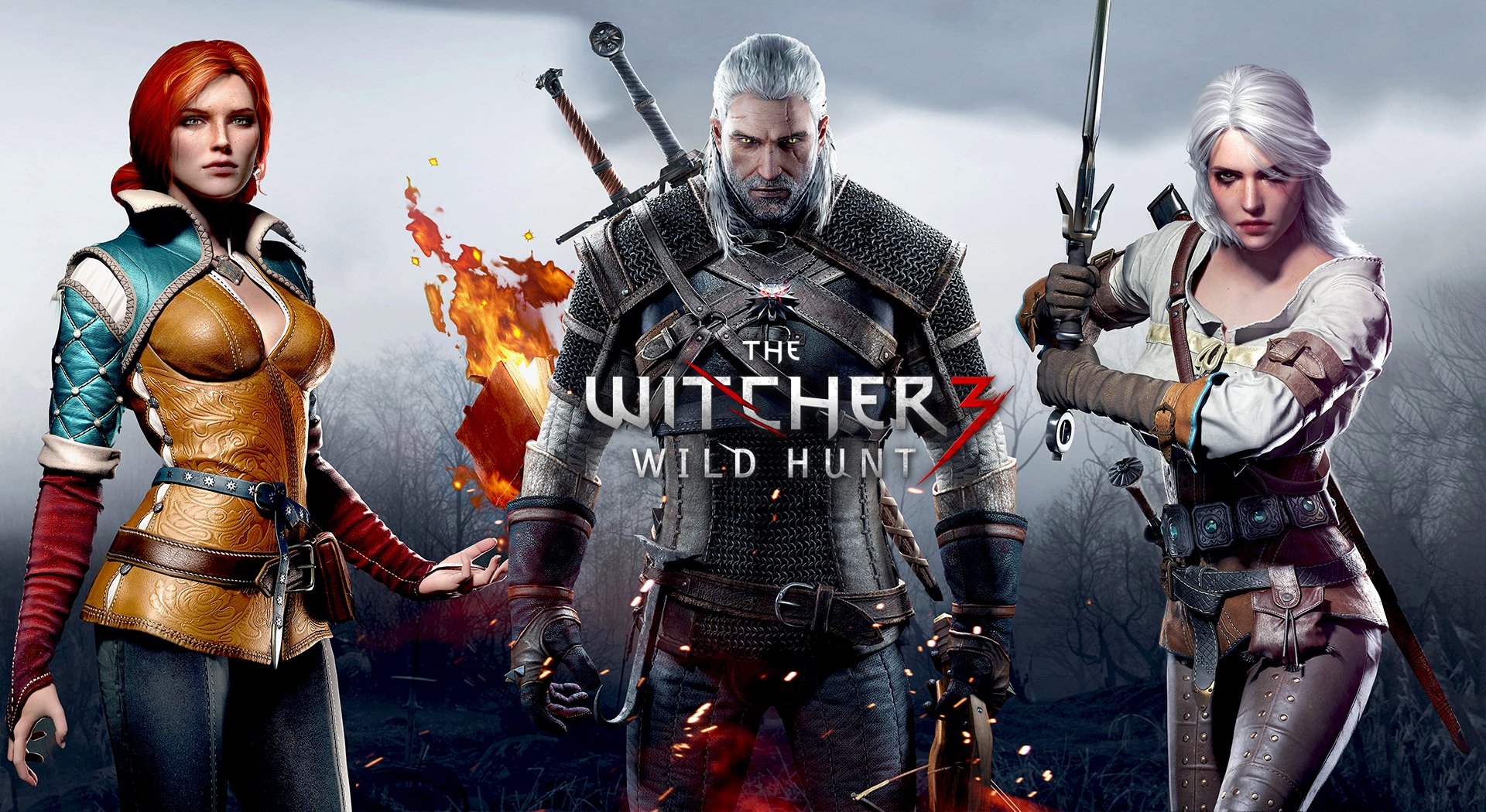 730 The Witcher 3 Wild Hunt Hd Wallpapers Background Images Wallpaper Abyss