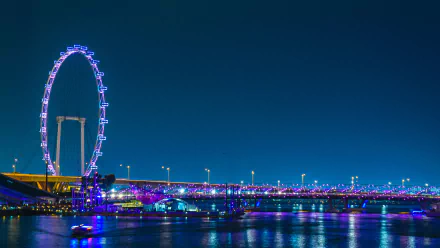 night man made Singapore HD Desktop Wallpaper | Background Image