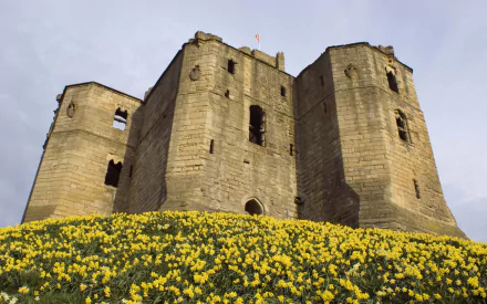 man made warkworth castle HD Desktop Wallpaper | Background Image