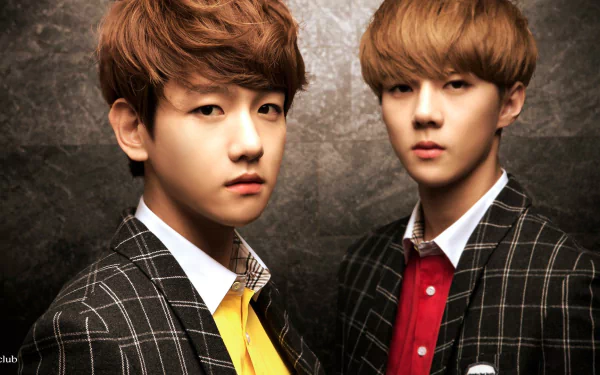 HD desktop wallpaper featuring two members of the music group EXO, dressed in stylish, checkered outfits with a subtle background.