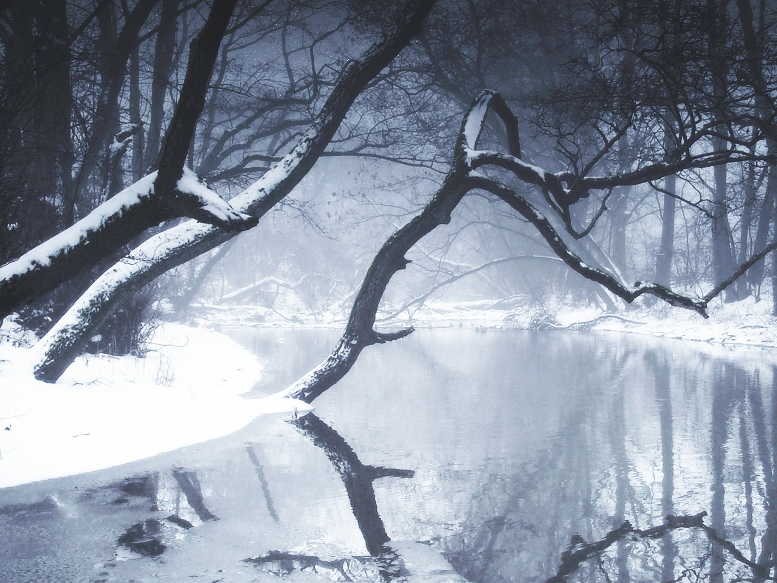 Download River Tree Nature Winter Wallpaper