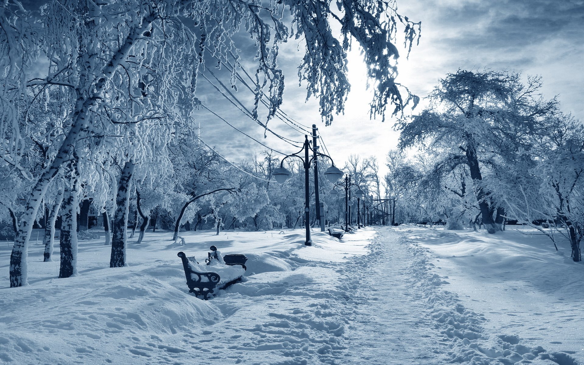 HD winter photography wallpaper depicting a snowy park path lined with frost-covered trees and benches under a cloudy sky.
