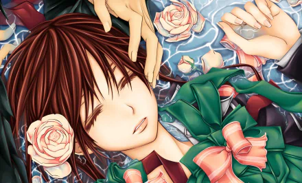 Yuki Kuran rose Anime Vampire Knight HD Desktop Wallpaper | Background Image