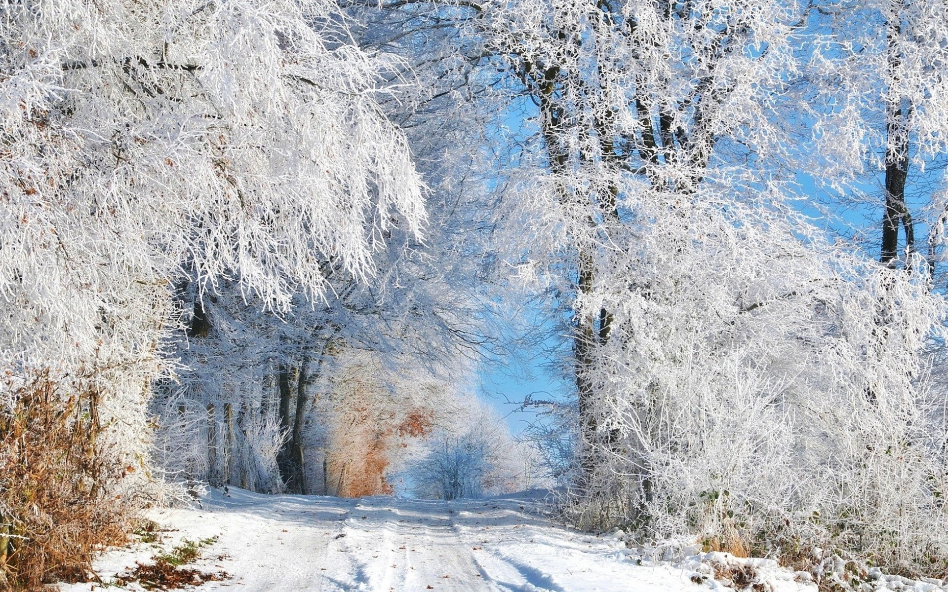 Erde/Natur Winter Wallpaper