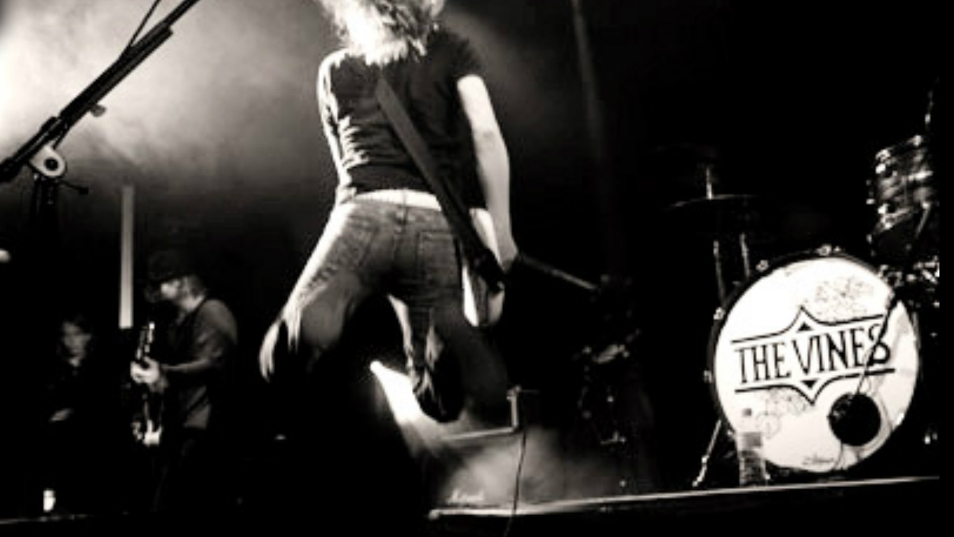 Download Music The Vines HD Wallpaper