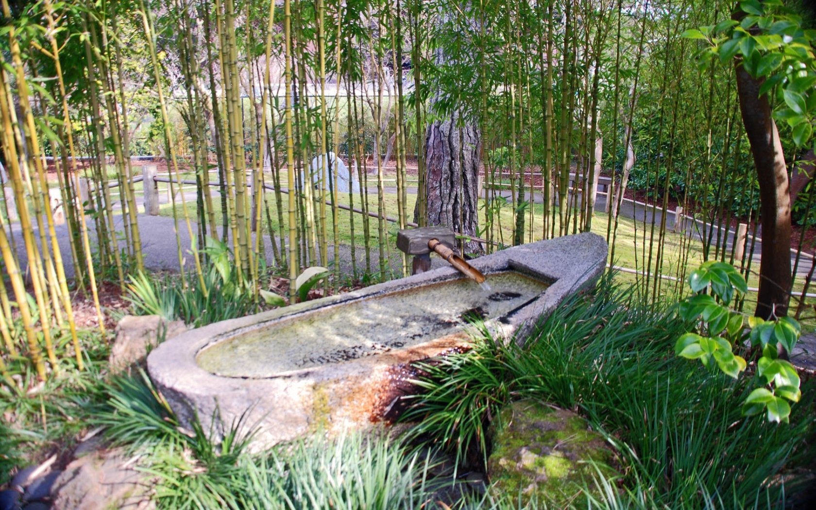 Download Man Made Golden Gate Park Wallpaper