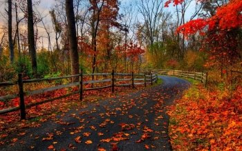 HD Wallpaper | Background Image ID:553621