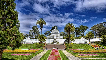  Conservatory of Flowers