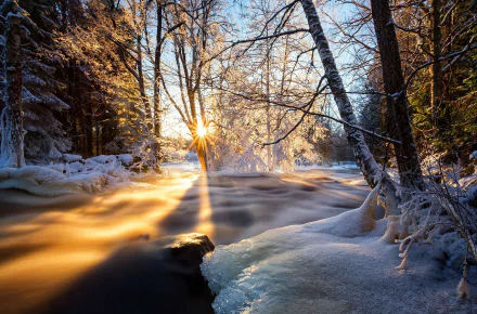 sunshine sun nature winter HD Desktop Wallpaper | Background Image