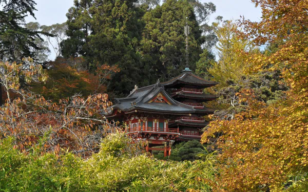 man made Golden Gate Park HD Desktop Wallpaper | Background Image