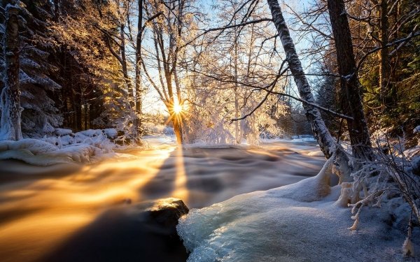 Nature Winter Sun Sunshine HD Wallpaper | Background Image