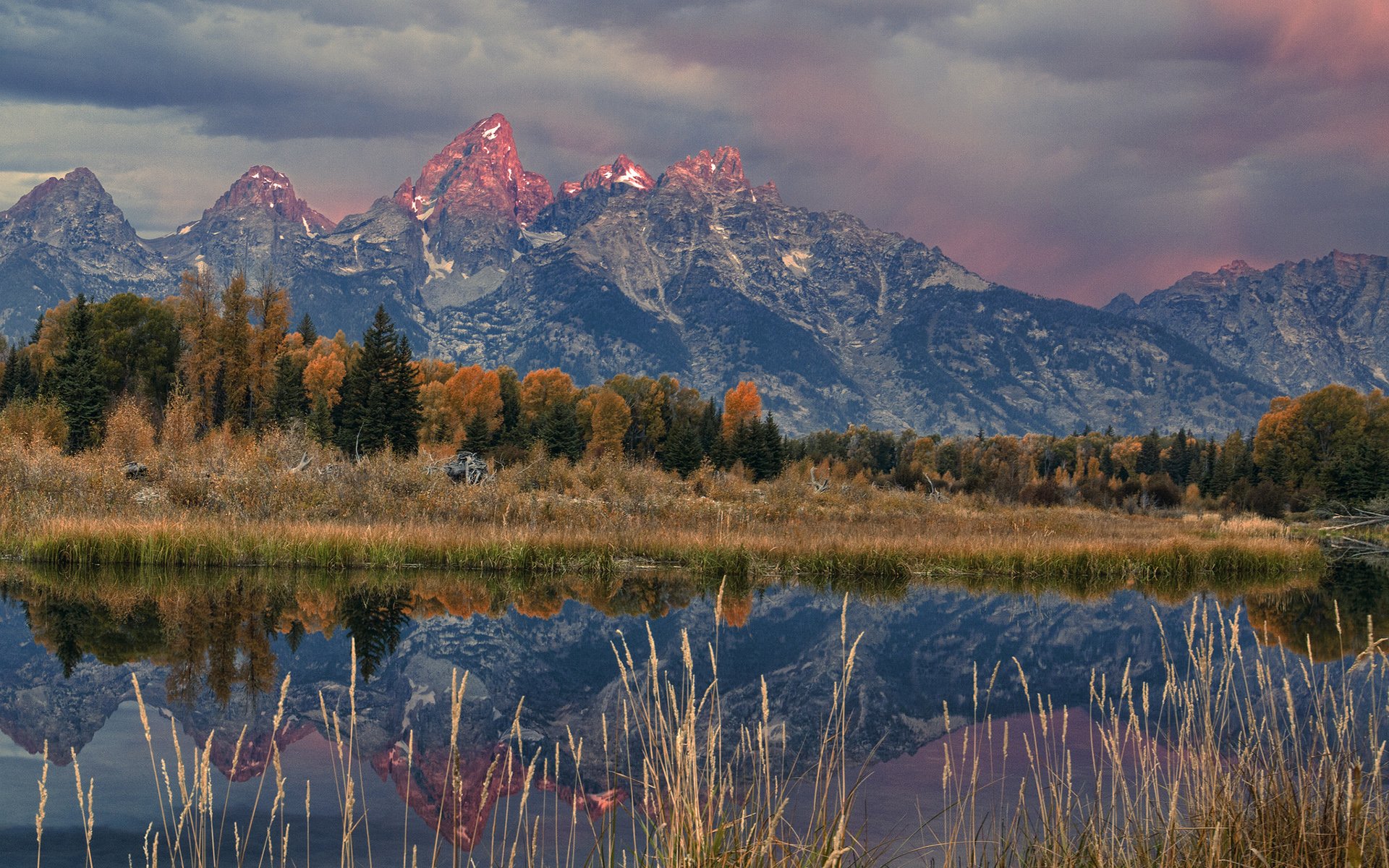 Nature Reflection HD Wallpaper