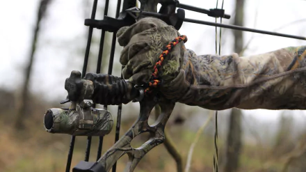 man made compound bow HD Desktop Wallpaper | Background Image