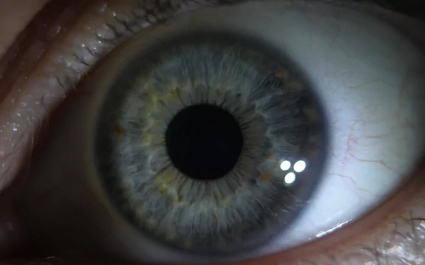 woman eye HD Desktop Wallpaper | Background Image