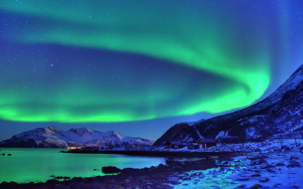 A stunning night scene of the aurora borealis illuminating the snowy landscape, showcasing vibrant green hues over a tranquil icy bay. 4K Ultra HD wallpaper for stunning visuals.