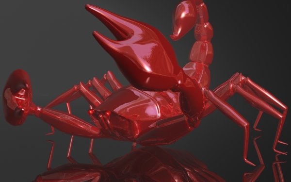 Animal Scorpion 3D HD Wallpaper | Background Image