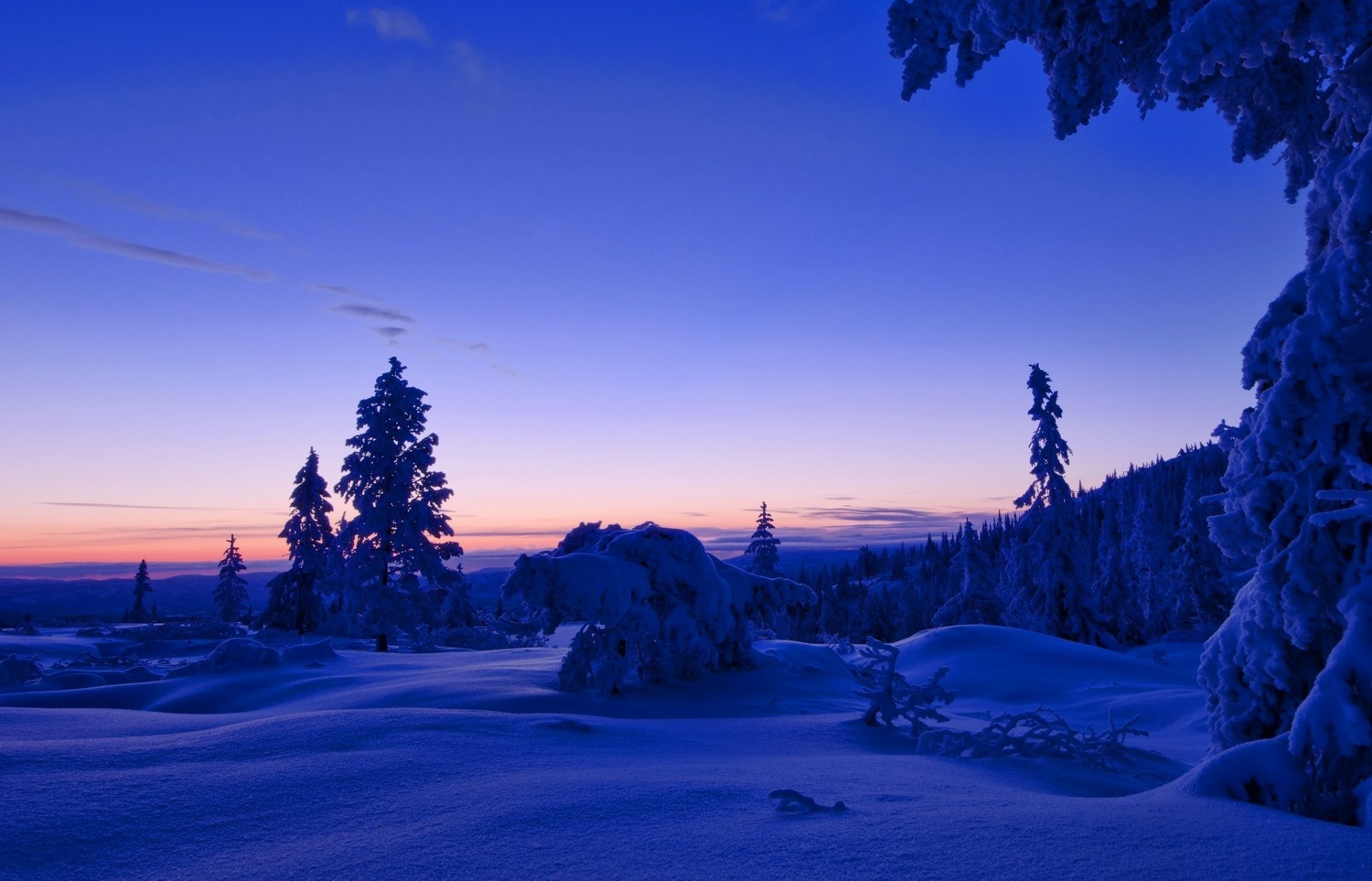 HD desktop wallpaper of a winter landscape at evening, featuring snow-covered trees under a twilight sky in a serene natural setting.