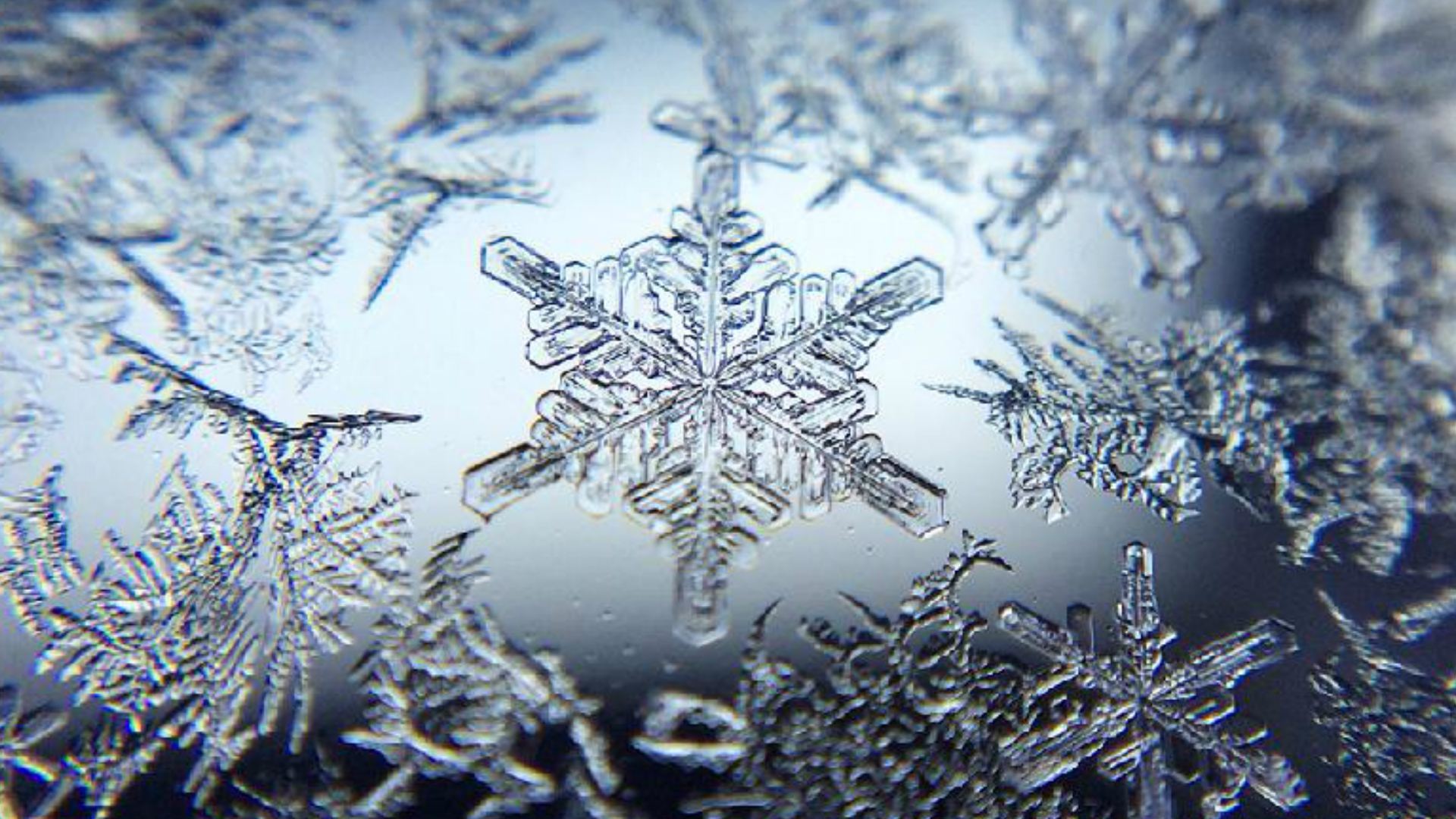Snowflake HD Wallpaper