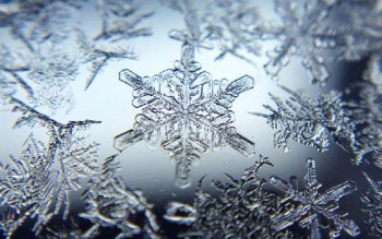 Snowflake HD Wallpaper | Background Image | 2880x1800 | ID:406078 ...