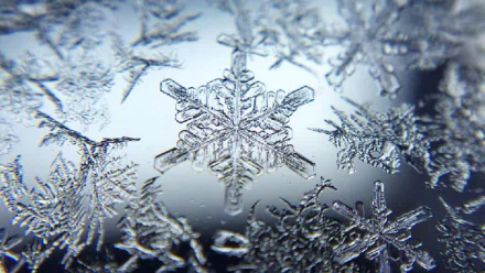 HD PC desktop wallpaper showing a macro close-up of an intricate snowflake and surrounding ice crystals on a frosted surface, a nature-themed cool blue background.