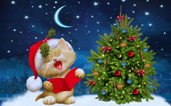 Holiday Christmas Christmas Tree Christmas Ornaments Cat Santa Hat HD Wallpaper | Background Image