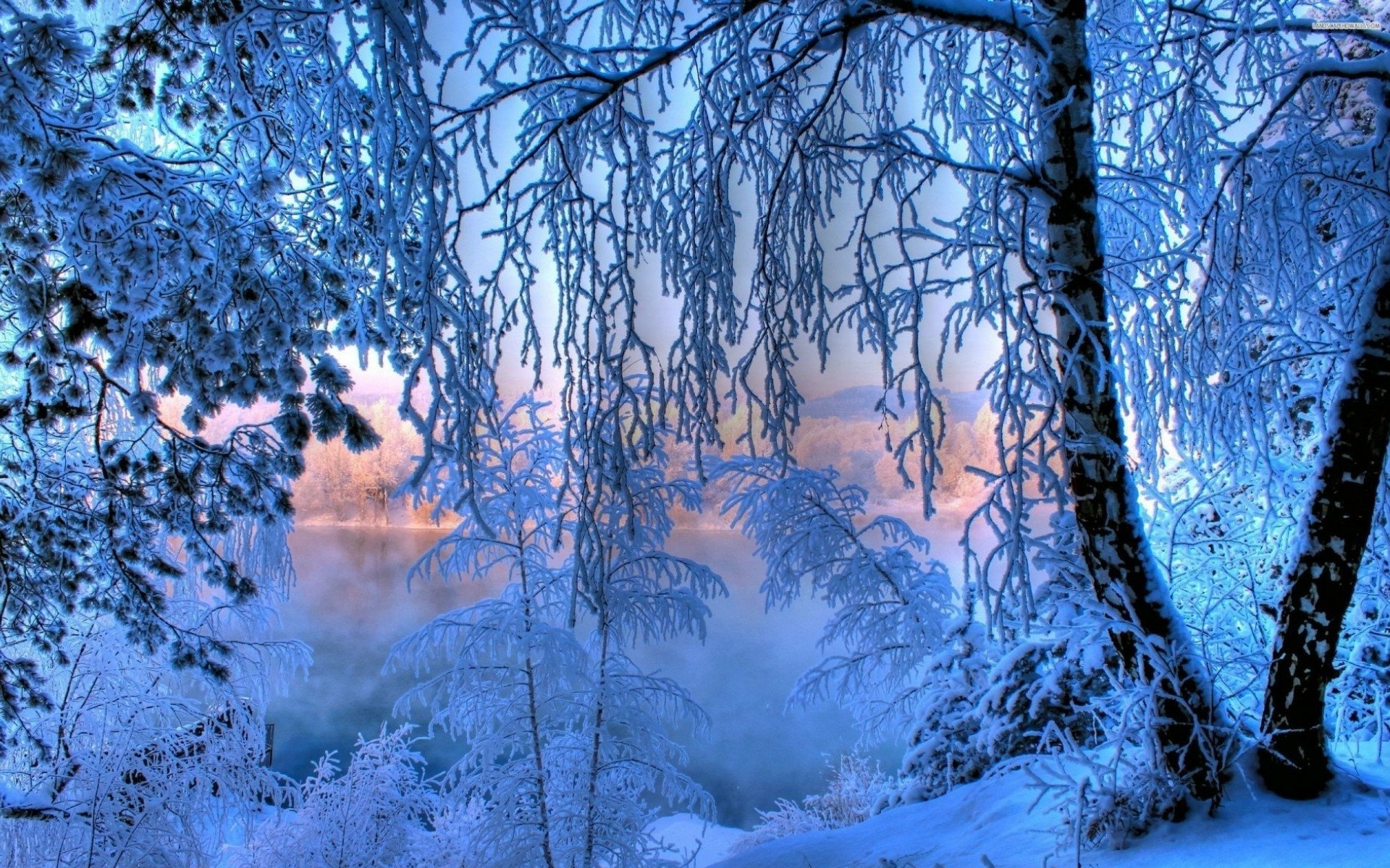 A serene winter sunrise illuminates a frosted landscape, showcasing nature's beauty with icy trees and a soft, colorful sky, creating an enchanting HD desktop wallpaper.