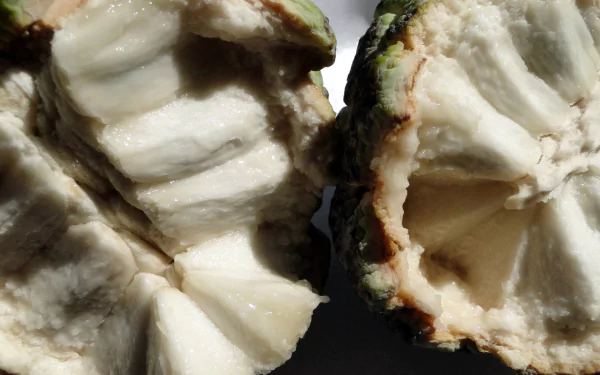 food Sugar Apple HD Desktop Wallpaper | Background Image