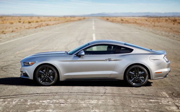 Vehicles 2015 Ford Mustang GT Ford Car Silver Car Ford Mustang Road HD Wallpaper | Background Image