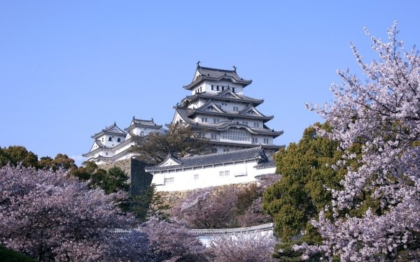 Man Made Himeji Castle Castles Japan Cherry Blossom Sakura Blossom Spring Hyogo HD Wallpaper | Background Image