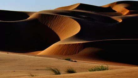 A stunning HD wallpaper showcasing undulating desert sand dunes, highlighted by warm sunlight and soft shadows, capturing the serene beauty of nature in a tranquil landscape.