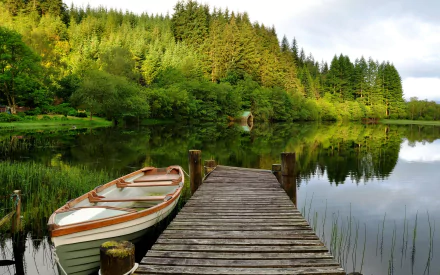 2K Quad HD PC desktop wallpaper: wooden man-made pier stretching into a glassy lake, a rowboat tied at the dock, surrounded by dense evergreen forest reflected in the water.