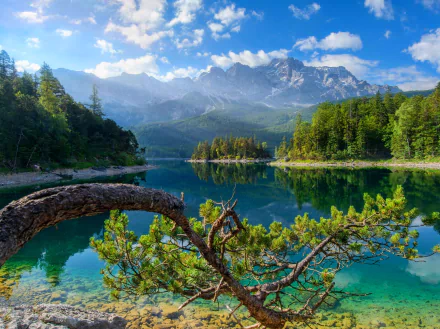A stunning landscape of Bavaria, Germany, featuring a serene lake surrounded by lush forests and majestic mountains, showcasing the beauty of nature in high-definition.