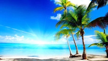 HD PC desktop wallpaper featuring a tropical beach with palm trees, white sand, and a clear blue sea under a bright sunny sky.