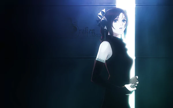 Furiae (Drakengard) video game drakengard HD Desktop Wallpaper | Background Image