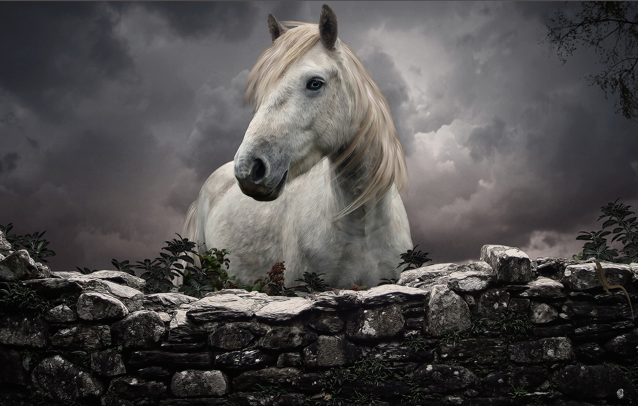 Download Animal Horse HD Wallpaper