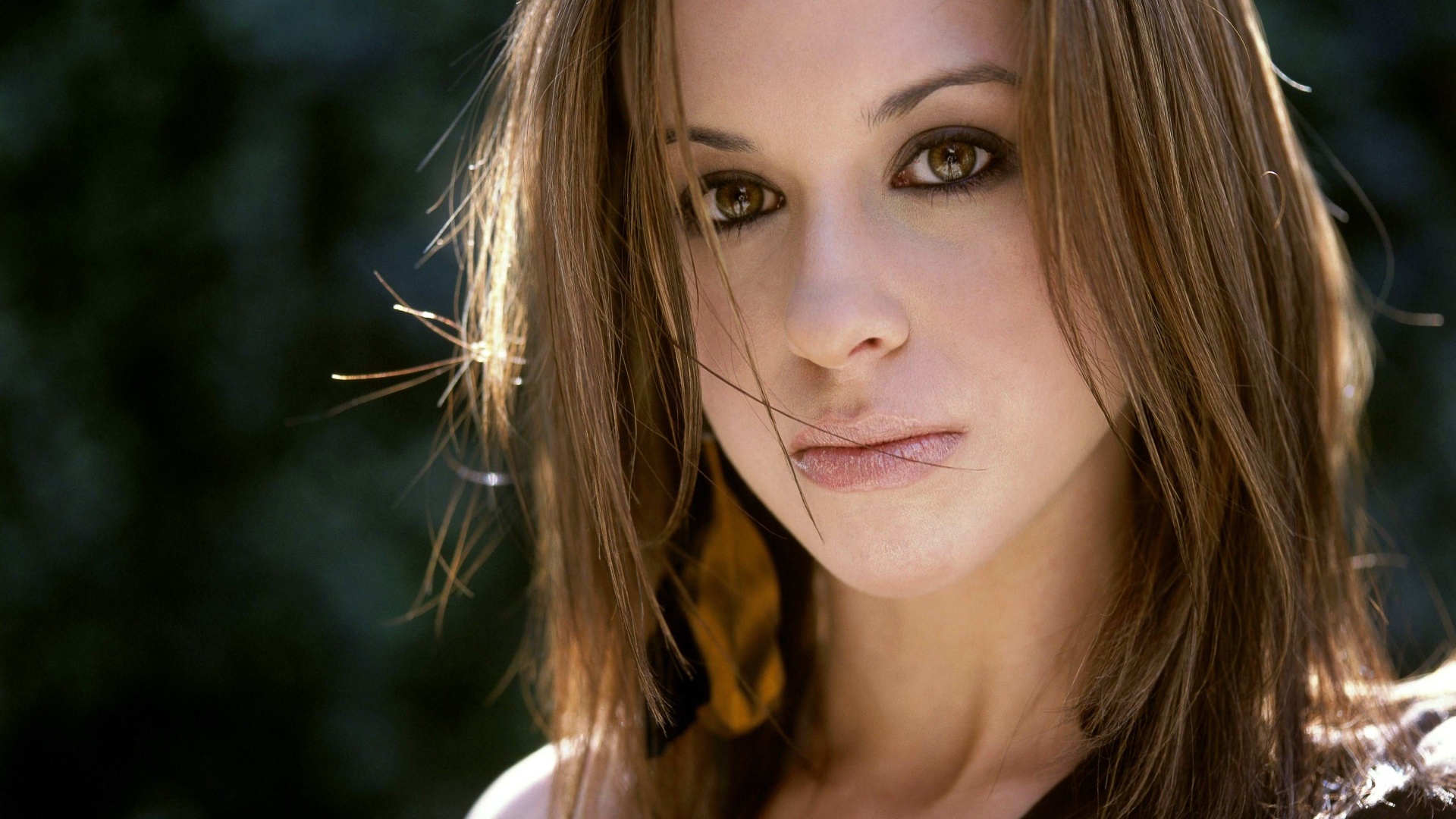 Celebrity Lacey Chabert HD Wallpaper | Background Image
