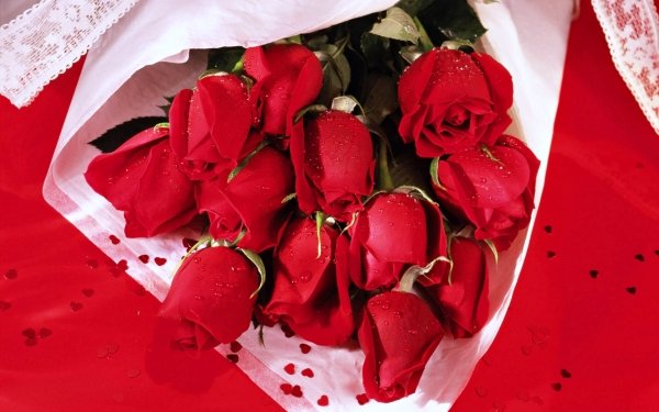 Terre/Nature Rose Fleurs Bouquet Red Rose Red Flower Romantic Amour Fond d'écran HD | Image