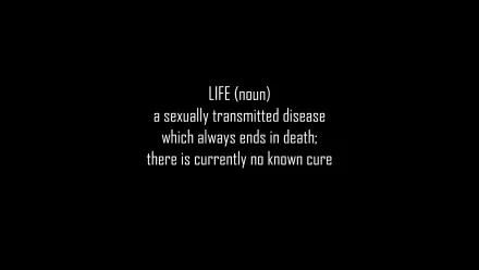 HD desktop wallpaper featuring a dark, humorous definition of life as a sexually transmitted disease that always ends in death, with no known cure.