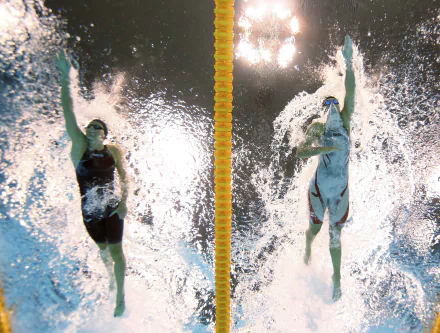 swimming Sports HD Desktop Wallpaper | Background Image