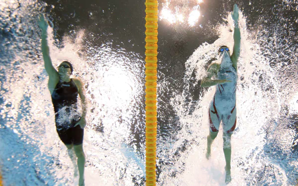 swimming Sports HD Desktop Wallpaper | Background Image