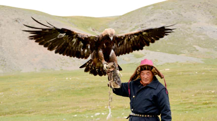 A golden eagle soars above a man in traditional attire, showcasing the powerful bond between human and bird amidst a vast, natural landscape. An impressive HD desktop wallpaper.