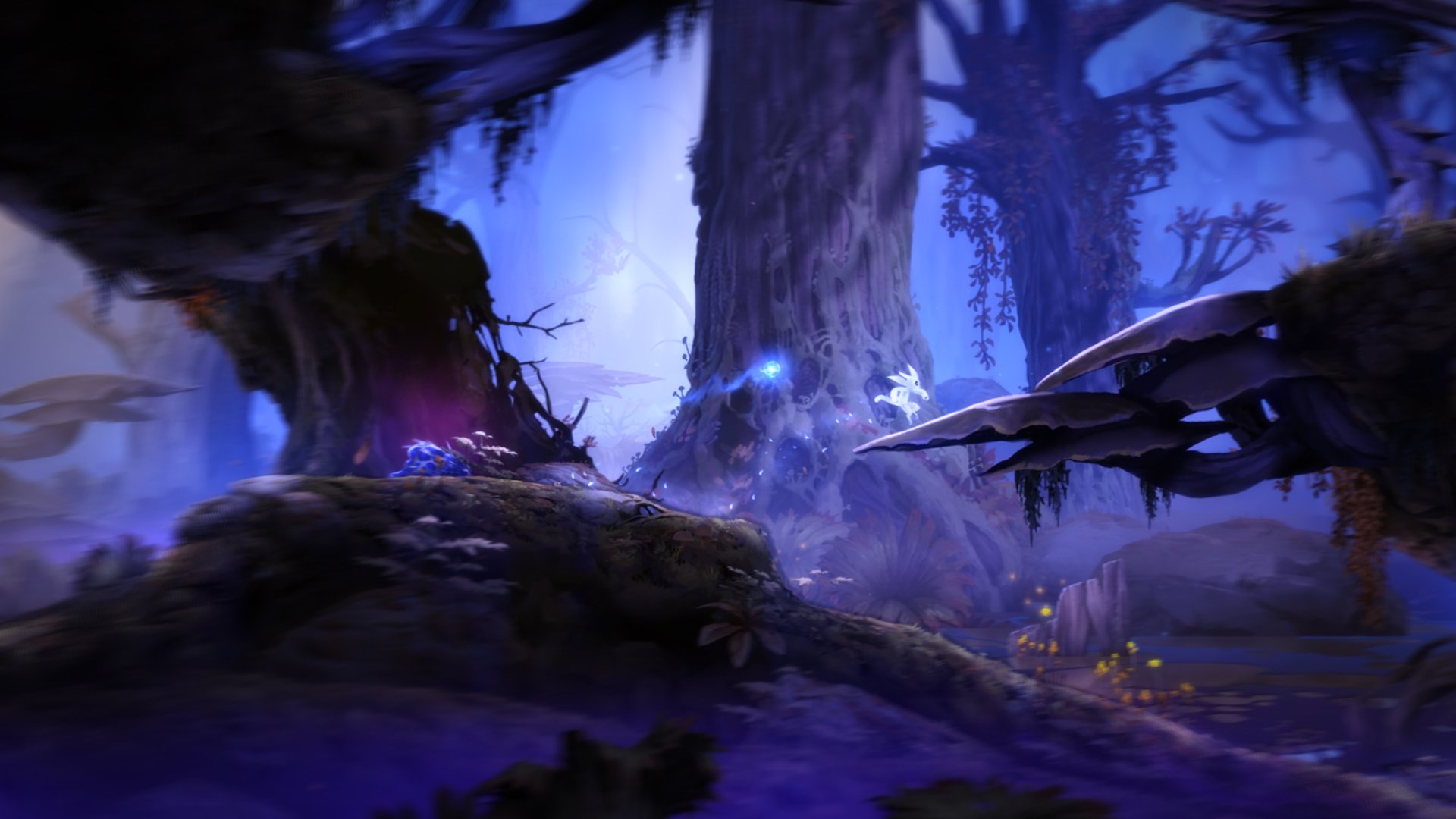 Ori And The Blind Forest Enchanting Forest Wallpaper Hd