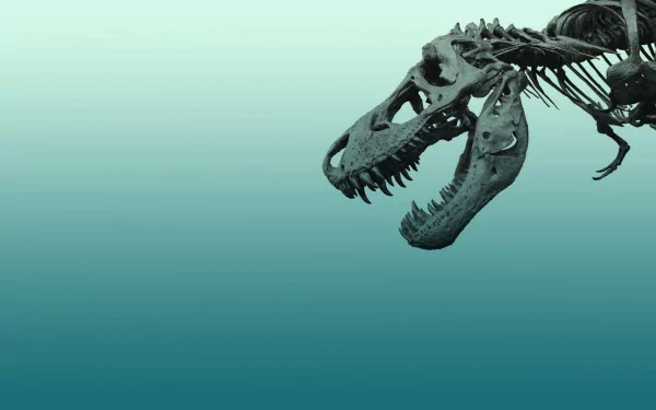 HD desktop wallpaper featuring a detailed Tyrannosaurus Rex skeleton against a gradient teal background.