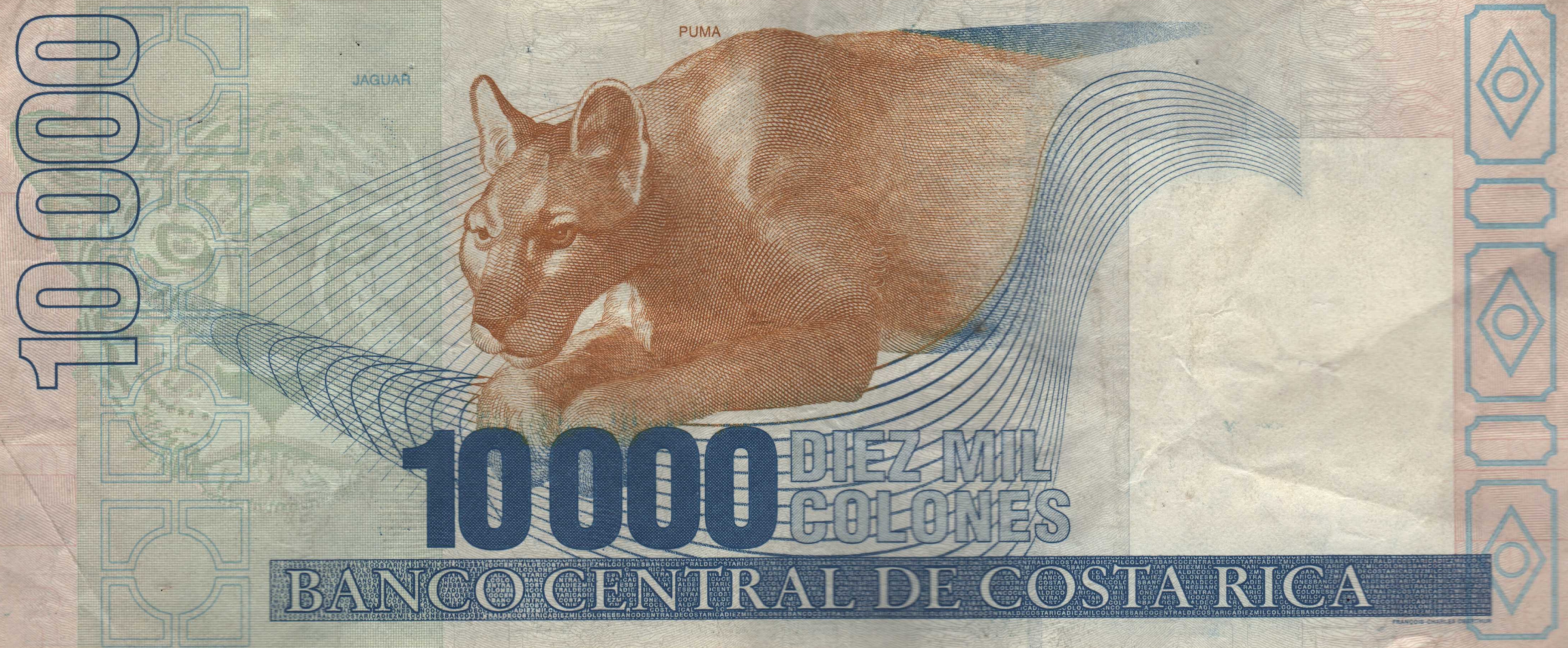 Купюры jamik. 10000 Колон Коста Рика банкнота. Банкноты с изображением животных. Банкнота с котом. Деньги с изображением кошки.