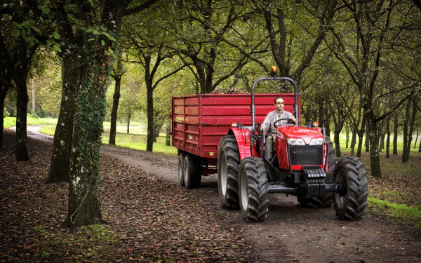 A Massey Ferguson tractor pulls a red trailer along a tree-lined dirt path, showcasing rural life in an HD desktop wallpaper format.