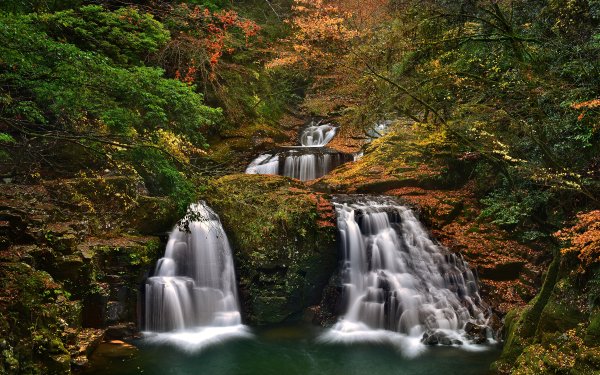 Earth Waterfall Waterfalls Fall Japan Landscape Forest Tree HD Wallpaper | Background Image