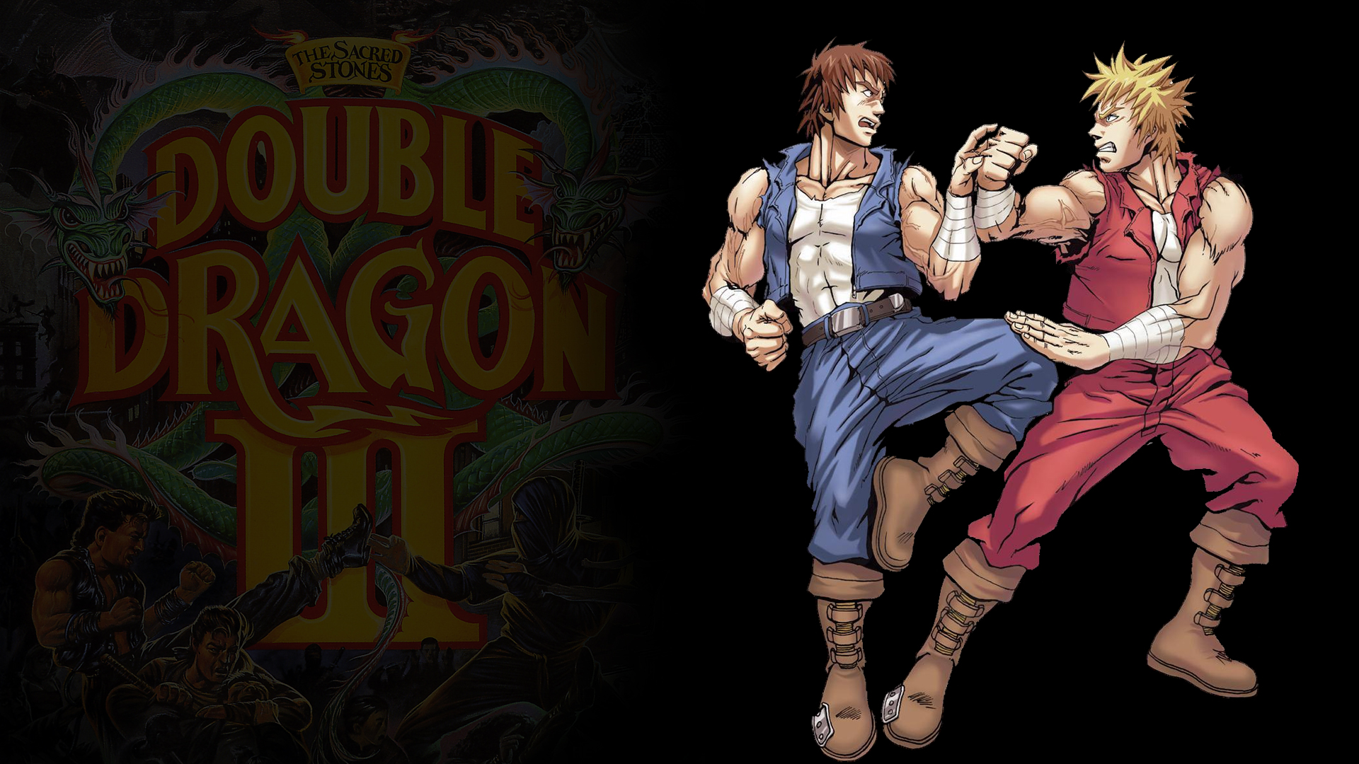 Video Game Double Dragon III: The Sacred Stones HD Wallpaper | Background Image